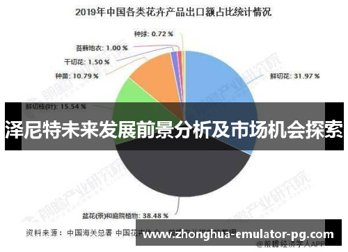 泽尼特未来发展前景分析及市场机会探索