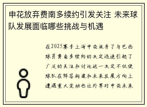 申花放弃费南多续约引发关注 未来球队发展面临哪些挑战与机遇