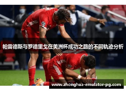 帕雷德斯与罗德里戈在美洲杯成功之路的不同轨迹分析