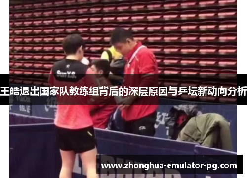 王皓退出国家队教练组背后的深层原因与乒坛新动向分析